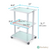 EVA Salon Trolley Cart by Dermalogic