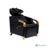 AURUM LUXE Backwash Unit